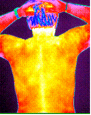 Upper body thermogram